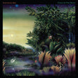 Tango In The Night (Vinyl)