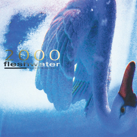 2000: In Search Of The Endless Sky (CD)