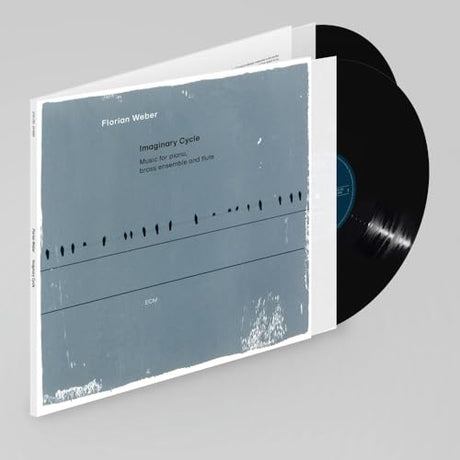 Imaginary Cycle [2 LP] (Vinyl)