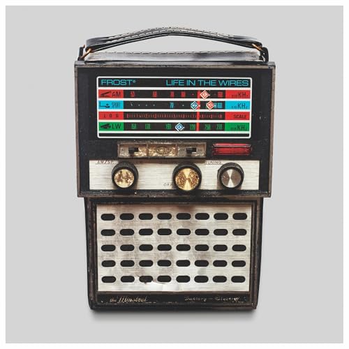 Life In The Wires (CD)