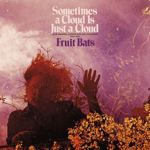 Sometimes a Cloud Is Just a Cloud: Slow Growers, Sleeper Hits and Lost Songs (2001–2021) (Colored Vinyl, Pink, Violet, Gatefold LP Jacket, Digital Download Card) (2 Lp's) (Vinyl)