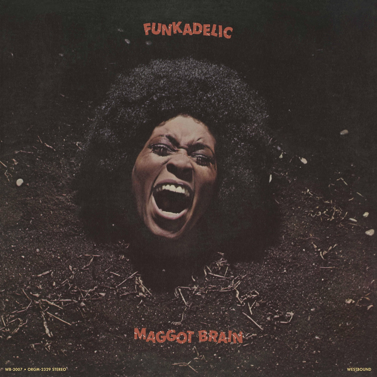 Funkadelic - Maggot Brain (45 Rpm Edition) [2LP] [Vinyl]