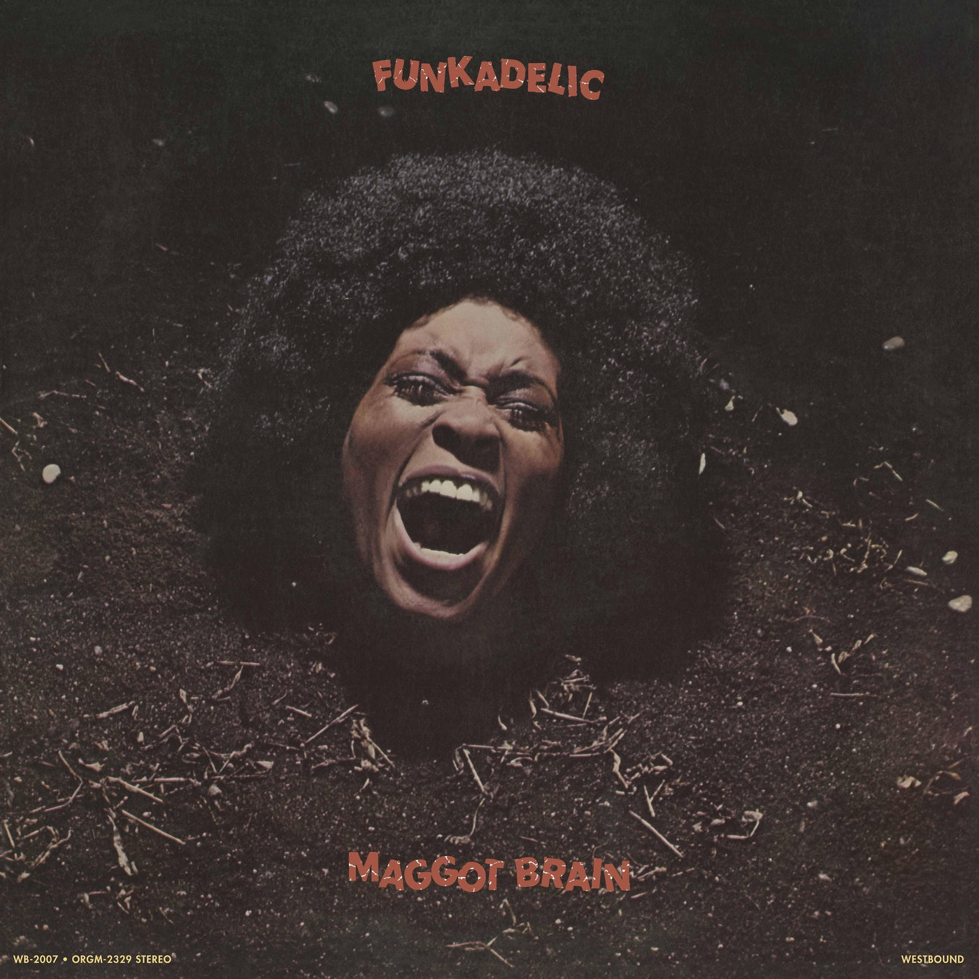 Funkadelic - Maggot Brain (45 Rpm Edition) [2LP] [Vinyl]