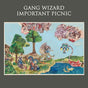 Important Picnic (Vinyl) - Apocalypse Vinyl