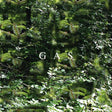 Der Lange Marsch (CD)