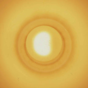 Monstersol (Vinyl) - Apocalypse Vinyl