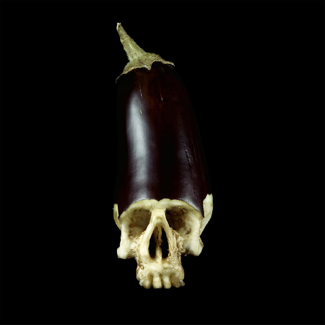 Whole Food (PURPLE, WHITE & BLACK SPLATTER VINYL) (Vinyl) - Apocalypse Vinyl