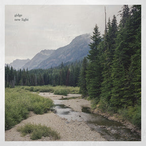 New Light (Vinyl)