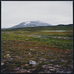 Tundra (Vinyl)