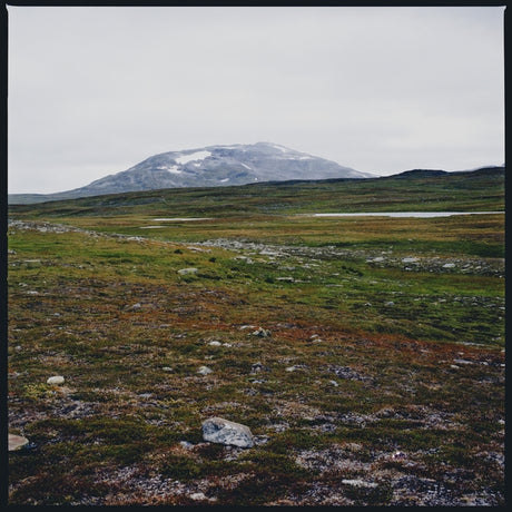 Tundra (Vinyl)