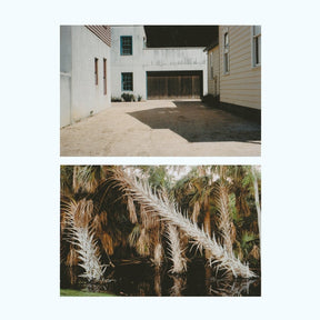 The Vestige [Lp] (Vinyl)