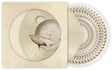 Gojira - From Mars to Sirius [Explicit Content] (Limited Edition, Zoetrope Picture Disc Vinyl, Gatefold LP Jacket) (2 Lp's) [Vinyl]