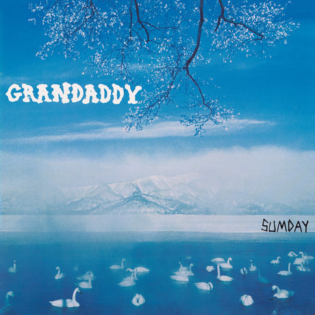 Grandaddy - Sumday [CD]