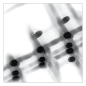 40:13.5 (Vinyl)