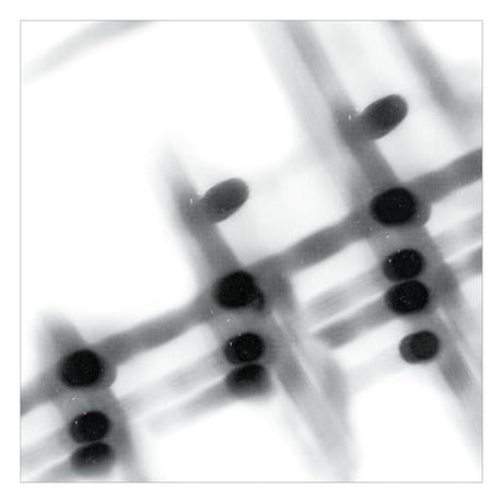 40:13.5 (Vinyl)