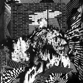 Public Housing (Vinyl) - Apocalypse Vinyl