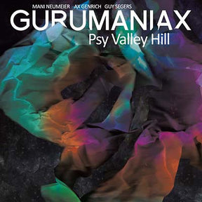 Psy Valley Hill [Vinyl]