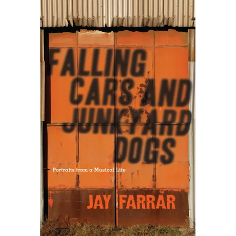 Falling Cars and Junkyard Dogs: Portraits from a Musical Life