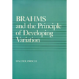 Brahms and the Principle of Developing Variation: Volume 2