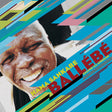 Ballebe - Calling All Africans (Vinyl) - Apocalypse Vinyl