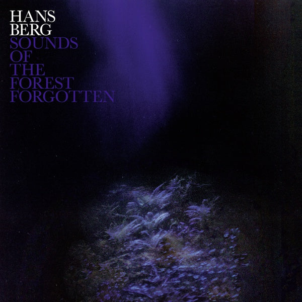 Sounds Of The Forest Forgotten (Vinyl)