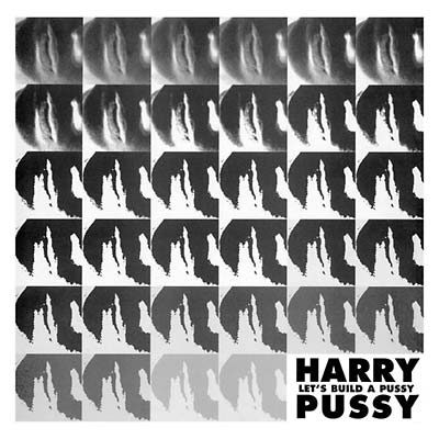 Let's Build a Pussy (Vinyl)