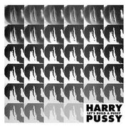 Let's Build a Pussy (Vinyl) - Apocalypse Vinyl