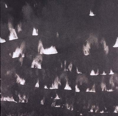 Fields Within Fields (Vinyl)