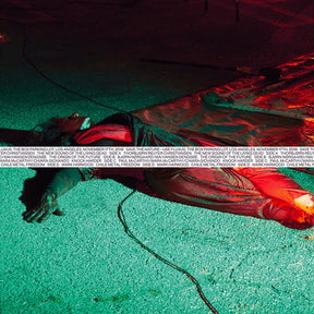 SAVE THE NATURE -- USE FLUXUS, The Box Gallery parking lot, Los Angeles (Vinyl) - Apocalypse Vinyl