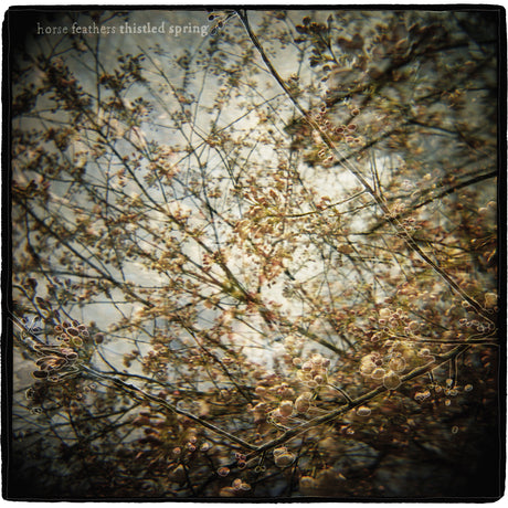 Thistled Spring [CD]