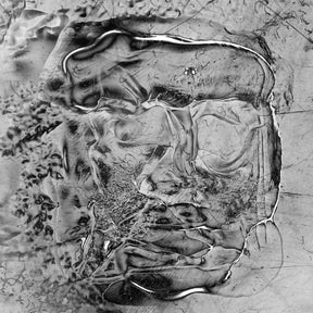 The Anteroom (Vinyl) - Apocalypse Vinyl