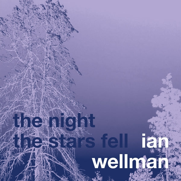 The Night The Stars Fell (CD)