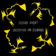 Irritation On Demand (Vinyl)