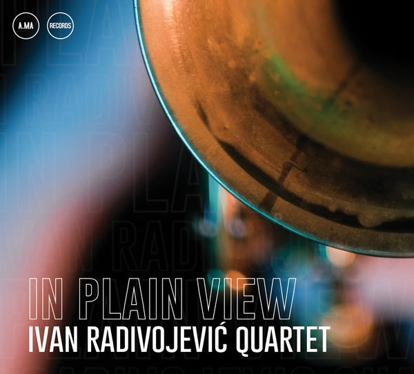 In Plain View (CD)