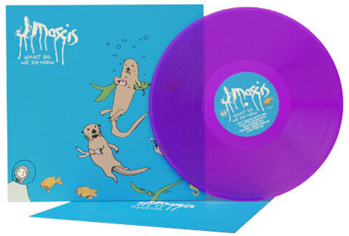 What Do We Do Now (Colored Vinyl, Clear Vinyl, Purple) (Vinyl)