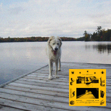 Daisy (Black And Yellow Swirl Vinyl) [Vinyl]