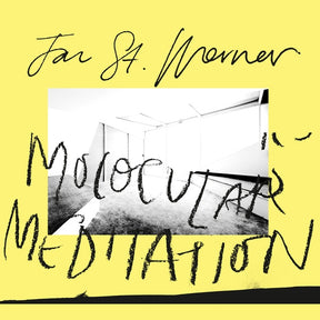 Molocular Meditation (Vinyl) - Apocalypse Vinyl