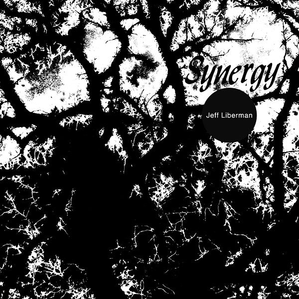 Synergy (Vinyl)