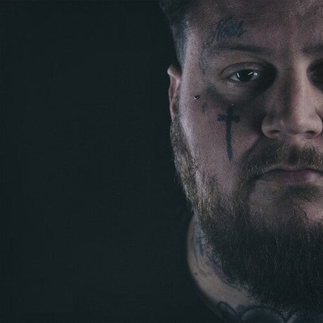 A Beautiful Disaster [Explicit Content] [Vinyl]