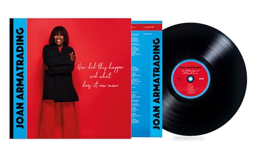 How Did This Happen and What Does It Now Mean [LP] (Vinyl)