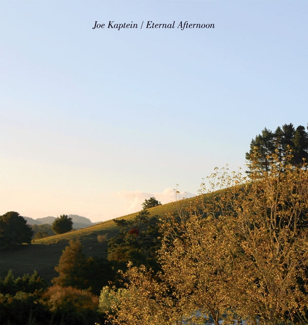 Eternal Afternoons (Vinyl)