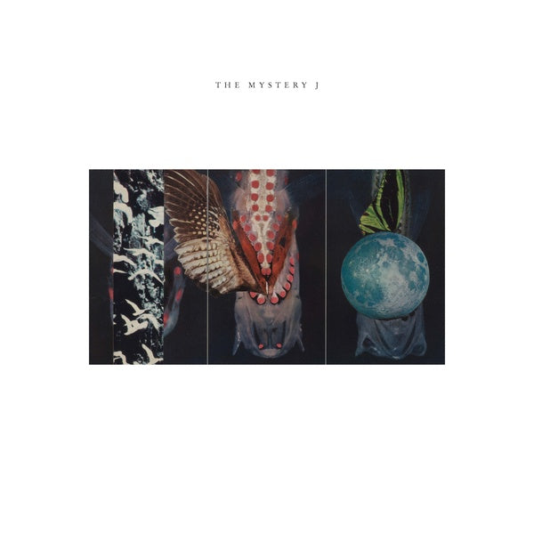 The Mystery J (Vinyl) - Apocalypse Vinyl