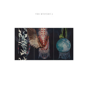The Mystery J (Vinyl) - Apocalypse Vinyl