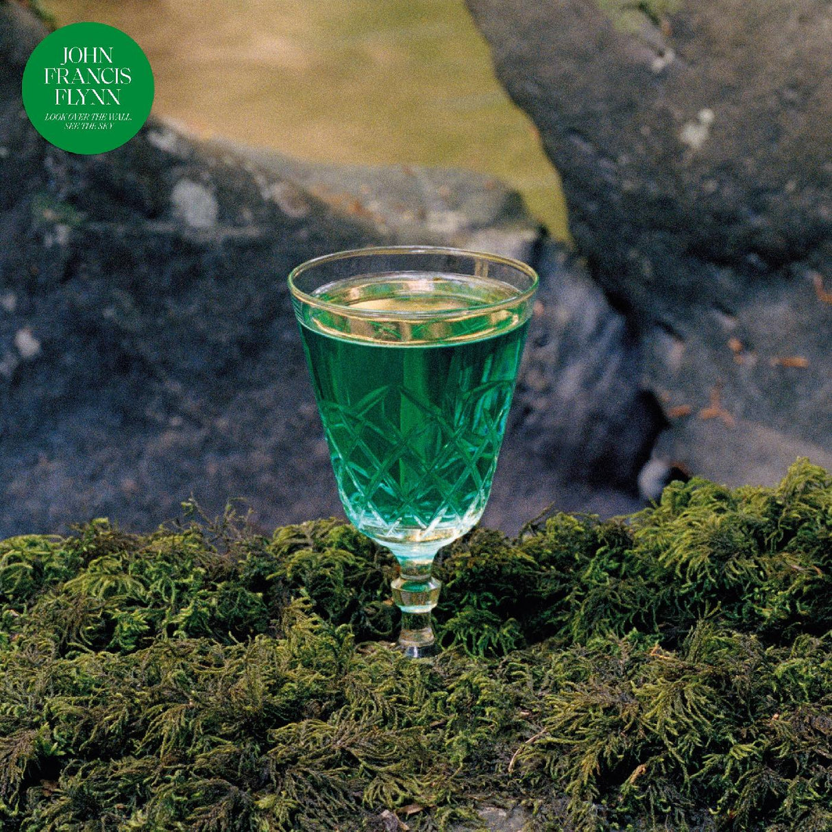 Look Over The Wall See The Sky (Indie Exclusive Green Vinyl) [Vinyl]