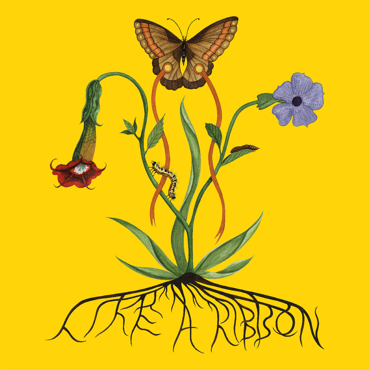 Like A Ribbon (CD)