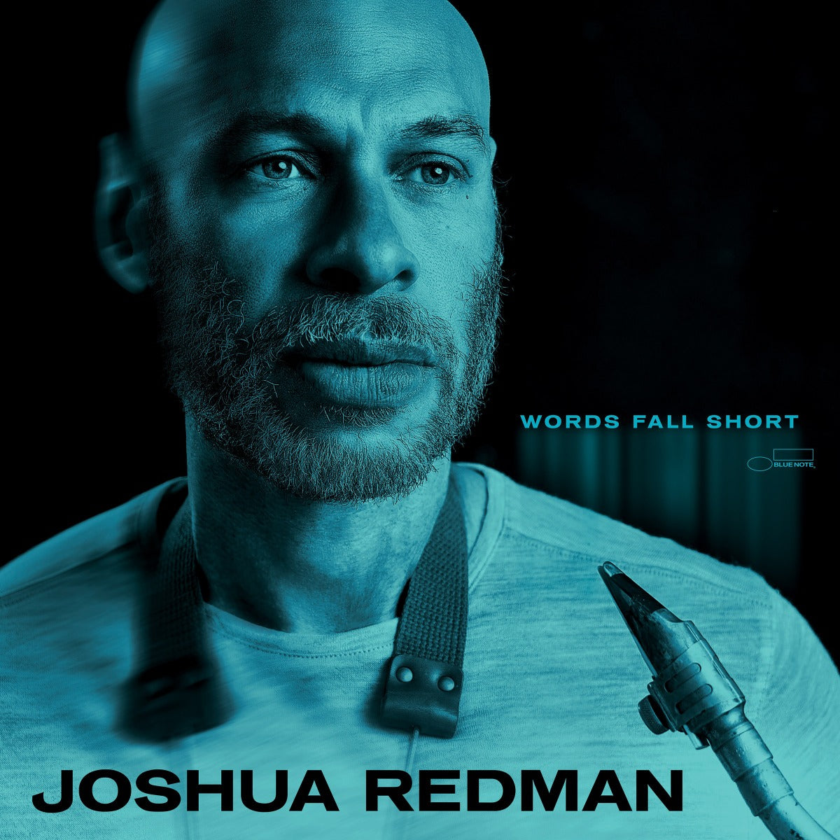 Words Fall Short [180G Lp] (Vinyl)