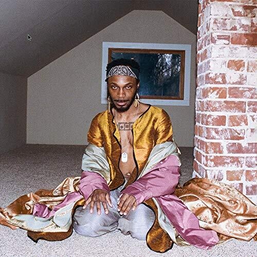 Jpegmafia Todos mis héroes son unos idiotas [Contenido explícito] (2 LP) [Discos y LP]