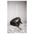 Julia Holter - Materia [Vinyl]