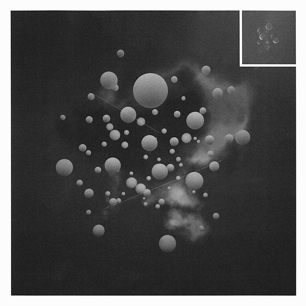 Das Fest Der Reichen (Vinyl) - Apocalypse Vinyl