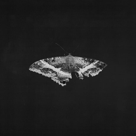 To Pimp A Butterfly (10 Year Anniversary Edition) - Alternate Artwork [180G 2 Lp] (Vinyl)